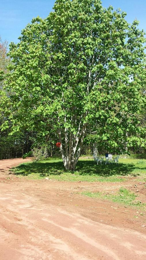 Chestnut Lane Bed And Breakfast Hunter River Экстерьер фото